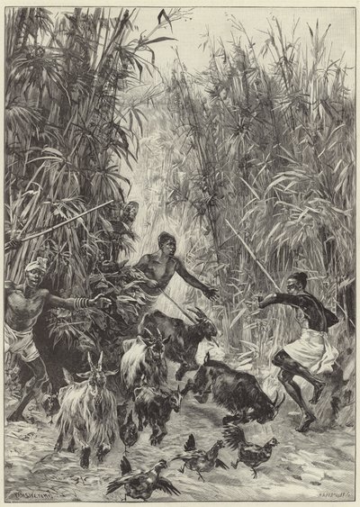 La spedizione di soccorso di Emin Pasha di Mr H. M. Stanley da English School