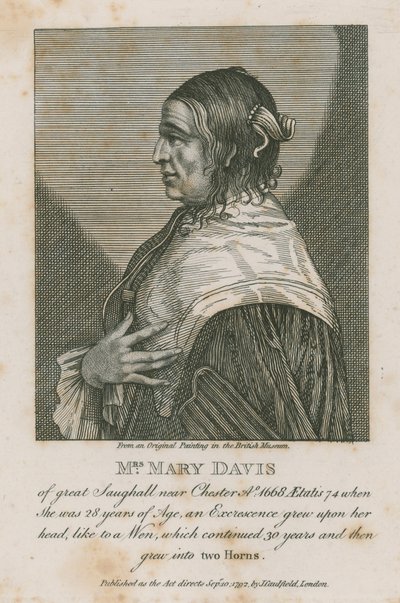 Mrs Mary Davis di Great Saughall vicino a Chester, 1668 da English School