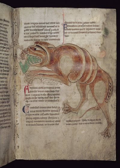 Ms.254 f.24 r Coccodrillo che ingoia un uomo da English School