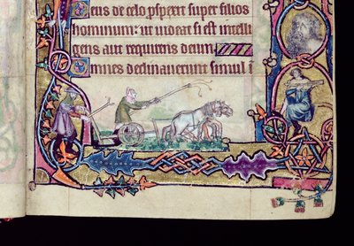 Ms 1-2005, ff.76v-77r: Davide e il folle, iniziale istoriata dal Salterio di Macclesfield, Uso di Sarum, East Anglia, c.1330 (dettaglio) da English School