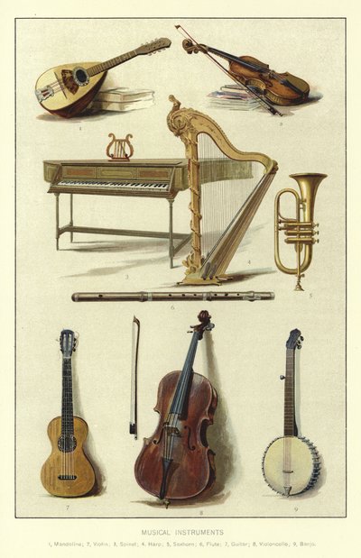 Strumenti musicali da English School