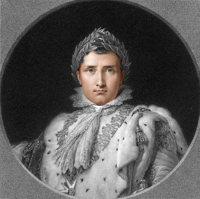 Napoleone da English School