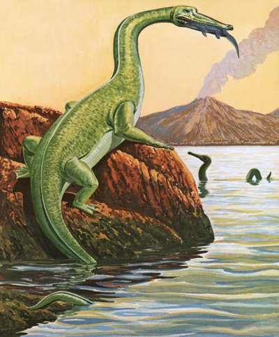 Nathosaurus che mangia da English School