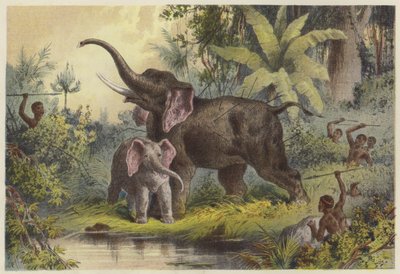 Indigeni che infilzano un elefante da English School
