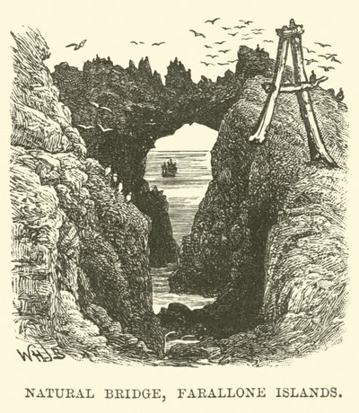 Ponte Naturale, Isole Farallone da English School
