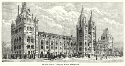 Museo di Storia Naturale, South Kensington da English School