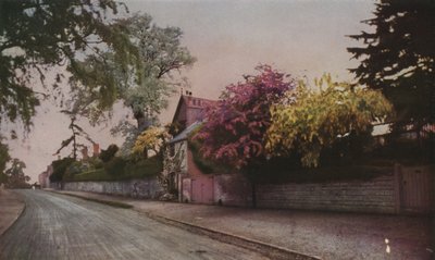 La bellezza della natura rivelata a colori dalla fotografia da English School