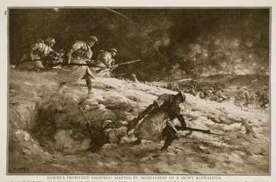 Colorazione protettiva naturale adottata dagli Highlander su un campo di battaglia innevato, 1914-19 da English School