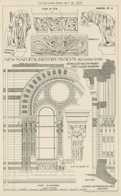 Nuovo Museo di Storia Naturale, South Kensington, Londra da English School