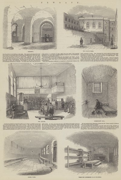 Newgate da English School