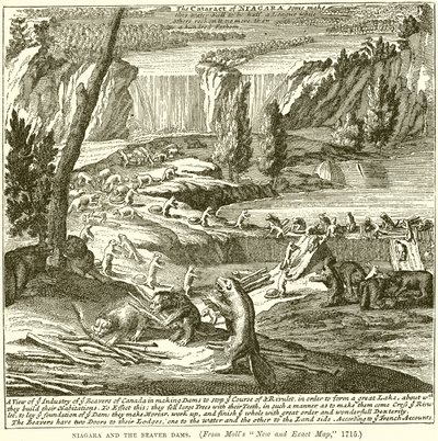 Niagara e le Dighe dei Castori da English School