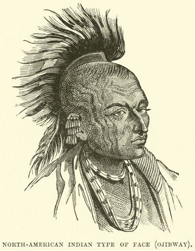 Tipo di volto indiano nordamericano, Ojibway da English School