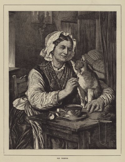 Vecchi amici da English School