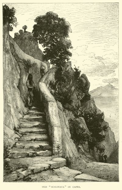 Vecchia Scalinata a Capri da English School