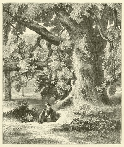 Vecchio albero di noce a Mentmore (incisione) da English School
