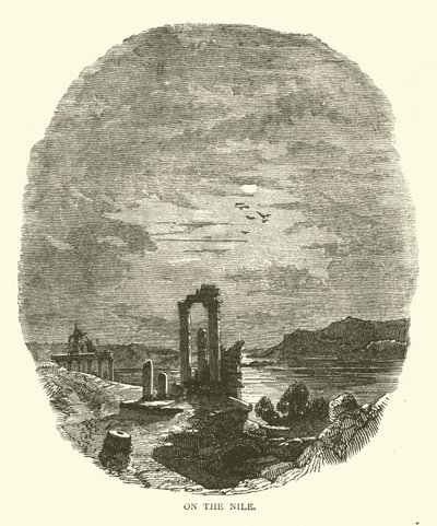 Sul Nilo (incisione) da English School