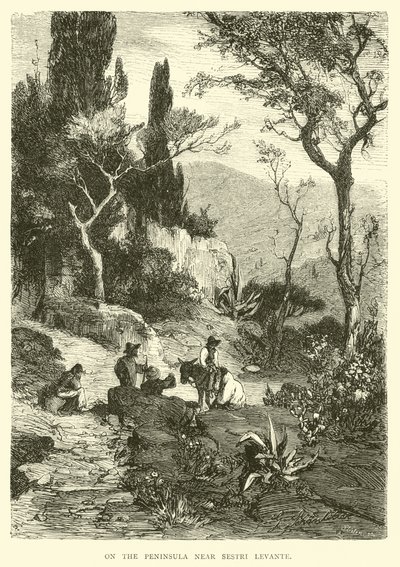Sulla penisola vicino a Sestri Levante da English School