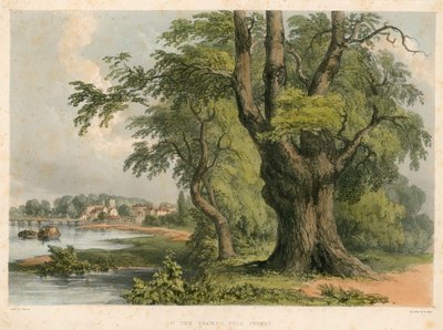 Sul fiume Tamigi, vicino a Putney, Londra da English School