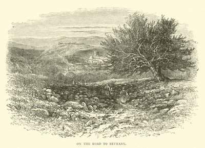 Sulla strada per Betania da English School