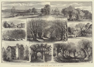 Apertura della foresta di Epping da parte della Regina, vedute nella foresta (incisione) da English School