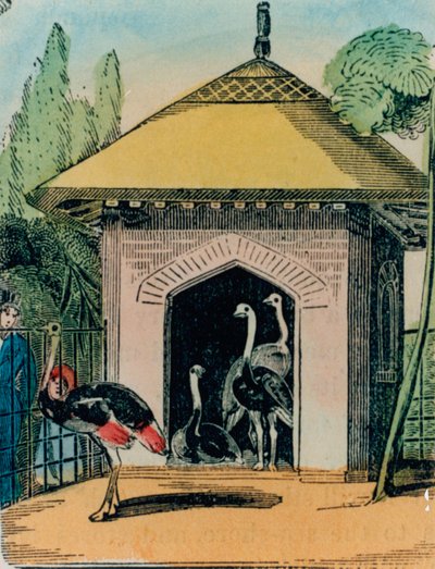 Casa dello struzzo e dell