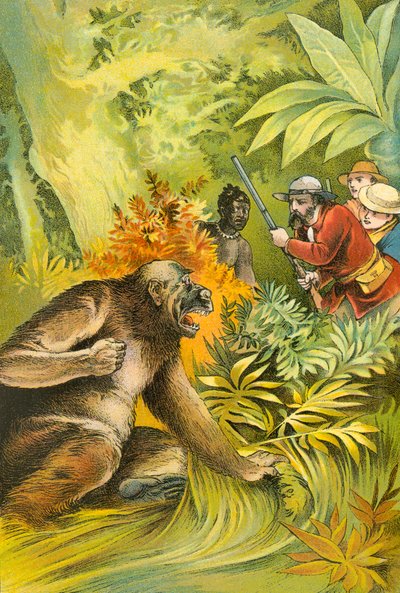 Il nostro primo gorilla da English School