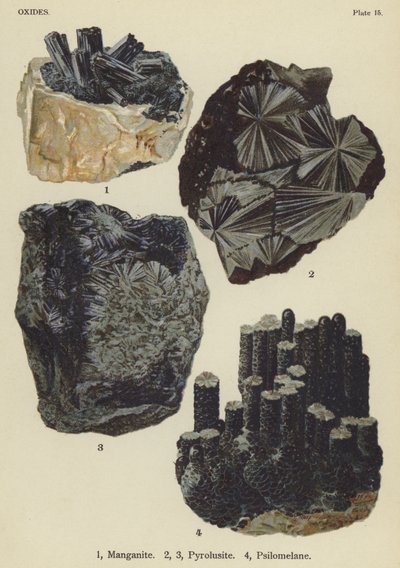 Ossidi, manganite, pirolusite, psilomelano (litografia a colori) da English School