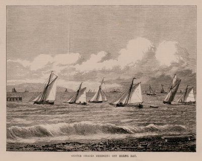 Dragaggio delle ostriche al largo di Herne Bay (incisione) da English School