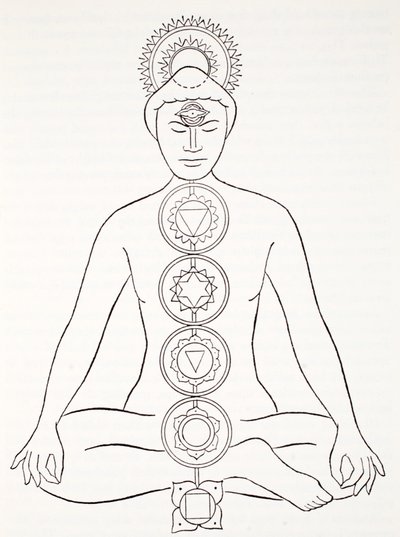 Padmasana o posizione del loto da English School
