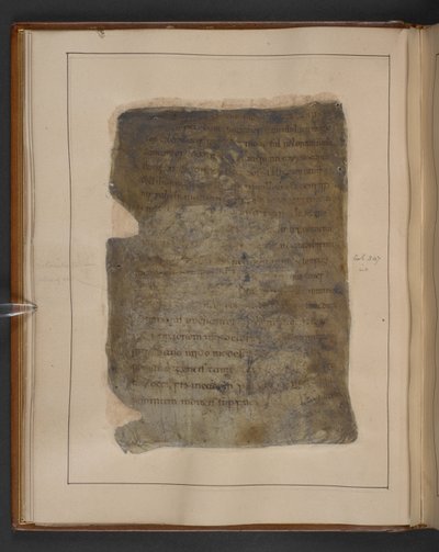 Pagina da Gildas, De excidio Britanniae (imperfetto), metà del X secolo da English School