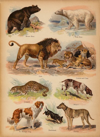 Pagina da The Little Folks’ Picture Natural History, c. 1900 da English School