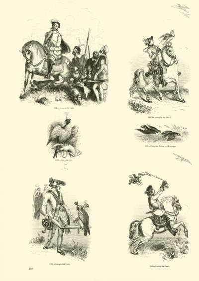 Pagina dal Museo Illustrato della Natura Animata da English School