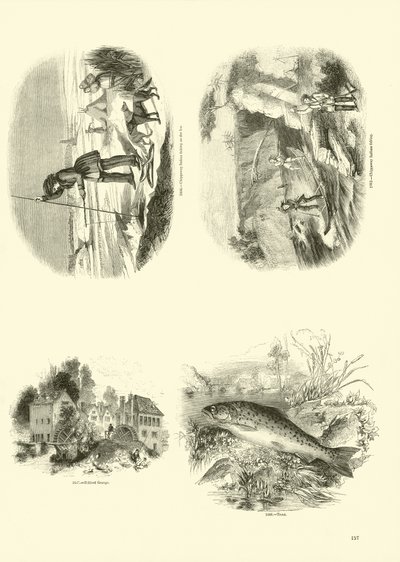 Pagina dal Museo Pittoresco della Natura Animata da English School