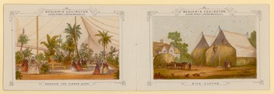 Pagina dal catalogo delle tende di Benjamin Edgington di Southwark, Londra da English School