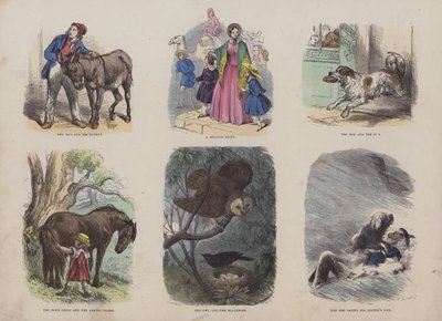 Pagina dal Libro delle Immagini Attraenti (incisione colorata) da English School