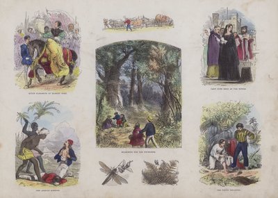 Pagina dal Libro delle Immagini Attraenti (incisione colorata) da English School