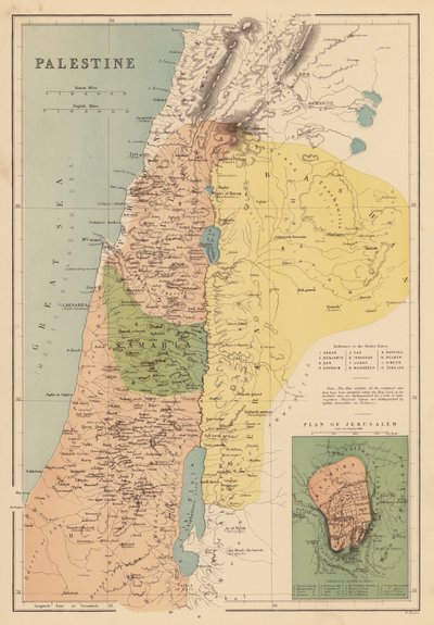 Palestina da English School