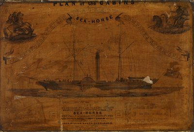 Pan delle cabine della SS Sea-horse (incisione) da English School