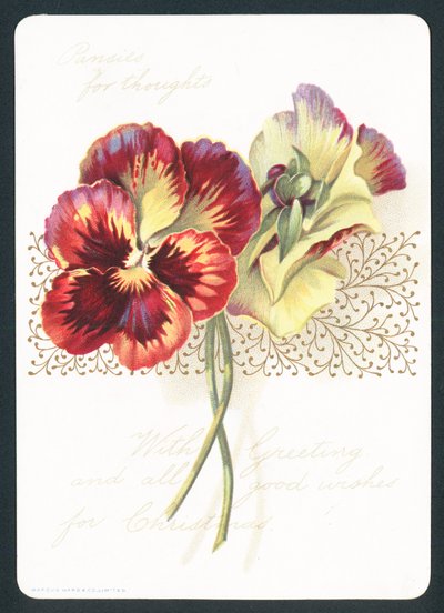 Pensieri di viole da English School