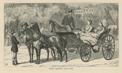 Phaeton da parco e coppia da English School