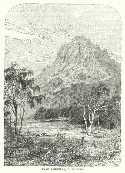 Picco Tangulla, Australia (incisione) da English School
