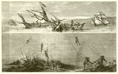 Pesca delle Perle da English School
