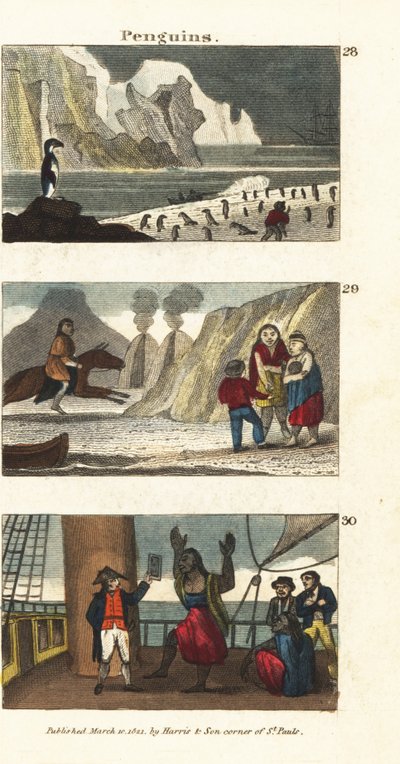 Pinguini in Sud America, giganti patagoni in pelli di animali e patagoni deliziati dalla vista di uno specchio sulla nave del Capitano Samuel Wallis da English School
