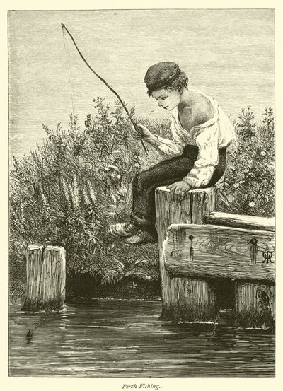 Pesca al persico da English School