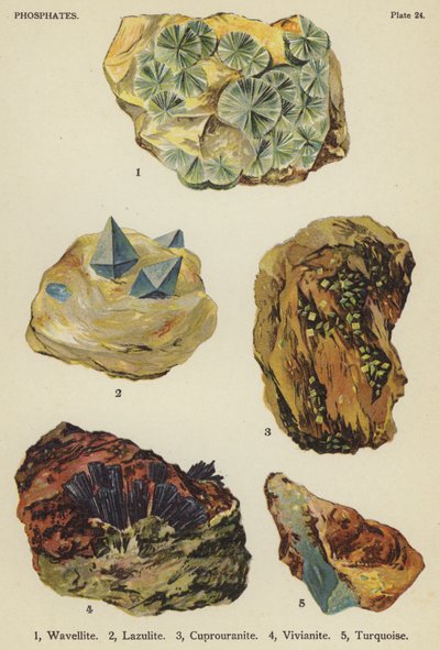 Fosfati, wavellite, lazulite, cuprouranite, vivianite, turchese da English School