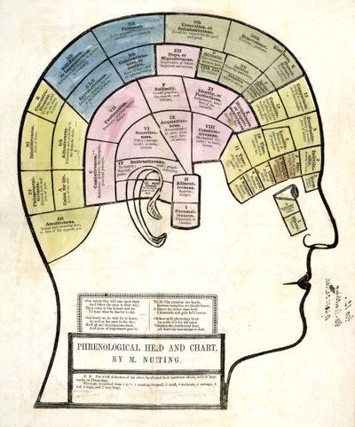 Testa e carta frenologica, pub. 1857 da English School