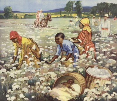 Raccolta del cotone in una piantagione americana da English School