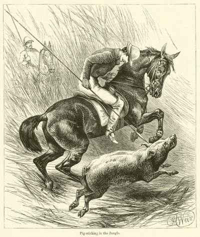 Caccia al cinghiale nella giungla da English School