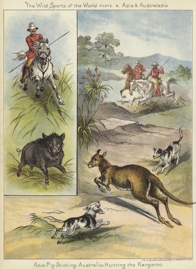 Caccia al cinghiale e al canguro da English School