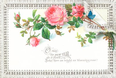 Rose rosa e farfalla blu da English School
